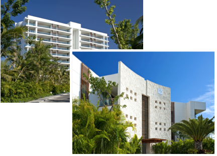 2010 - VidantaWorld Launch - Historical Milestone