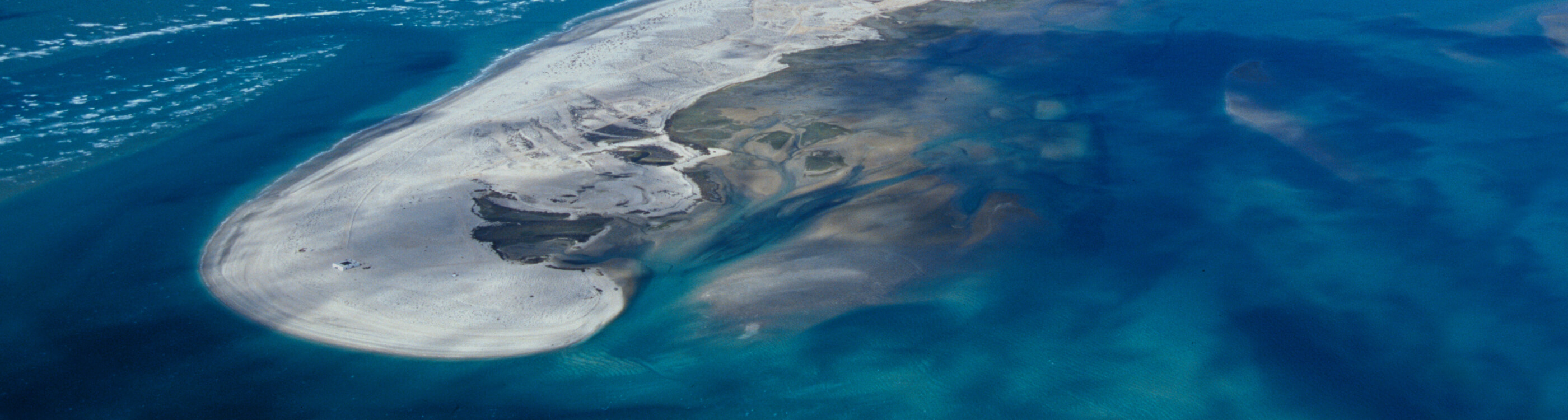 Constantly Expanding - Real Estate Development